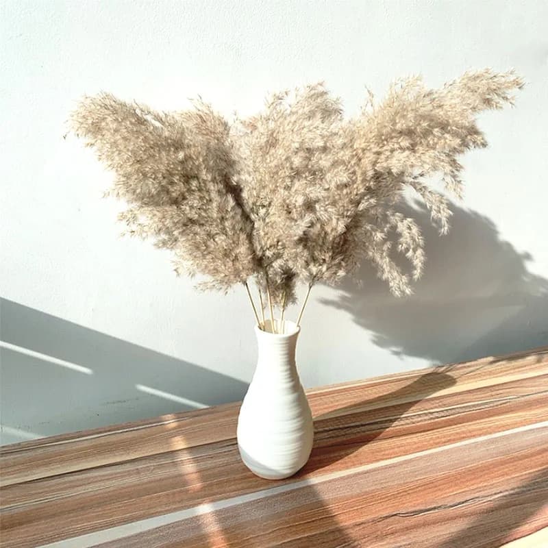 Dried Pampas Grass Bunch thumbnail 2