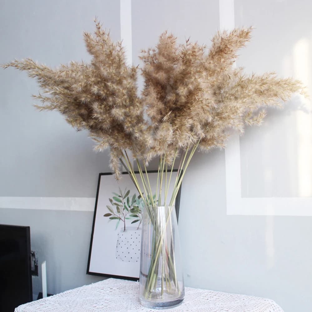 Dried Pampas Grass Bunch — photo 1